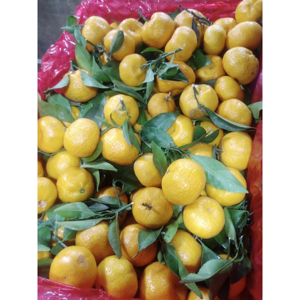 Jeruk Santang Madu | 1KG | Murah