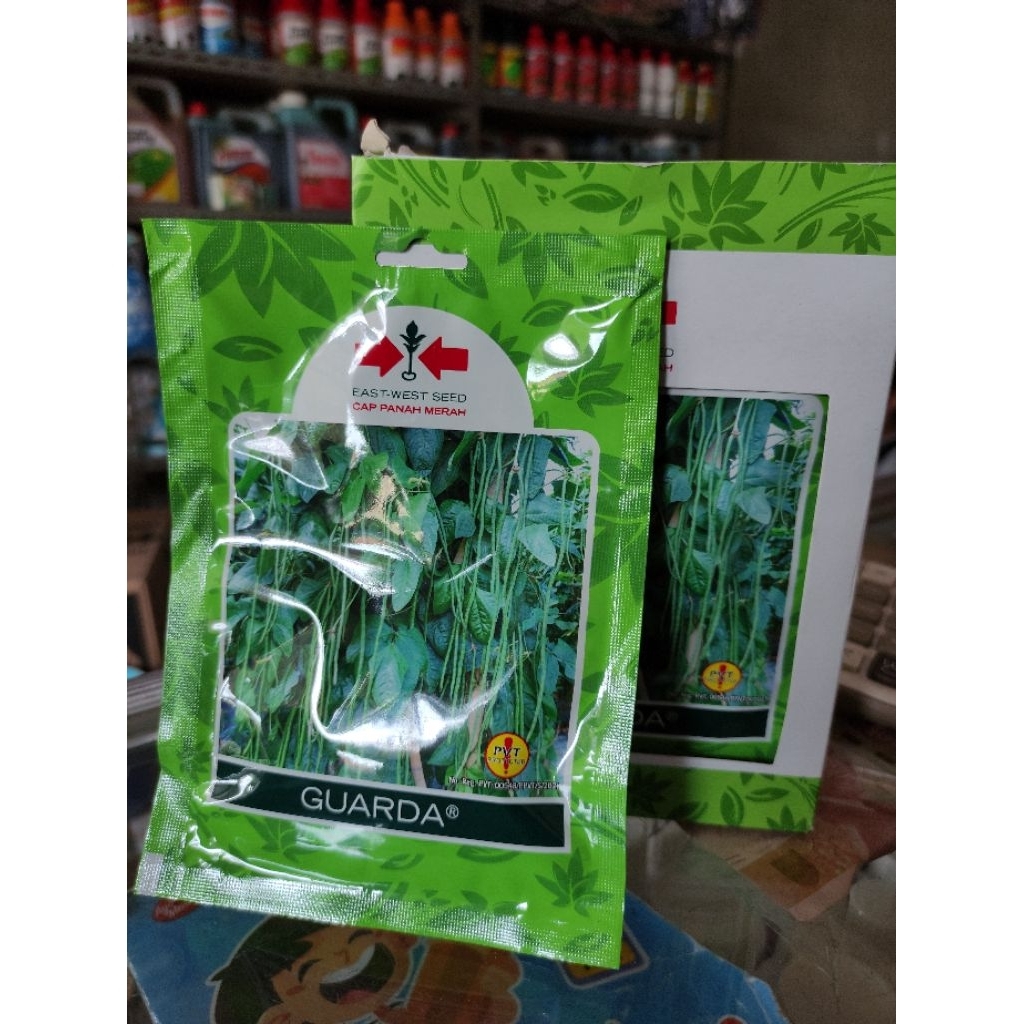 Bibit Kacang Panjang Guarda Cap Panah Merah (original 100%)