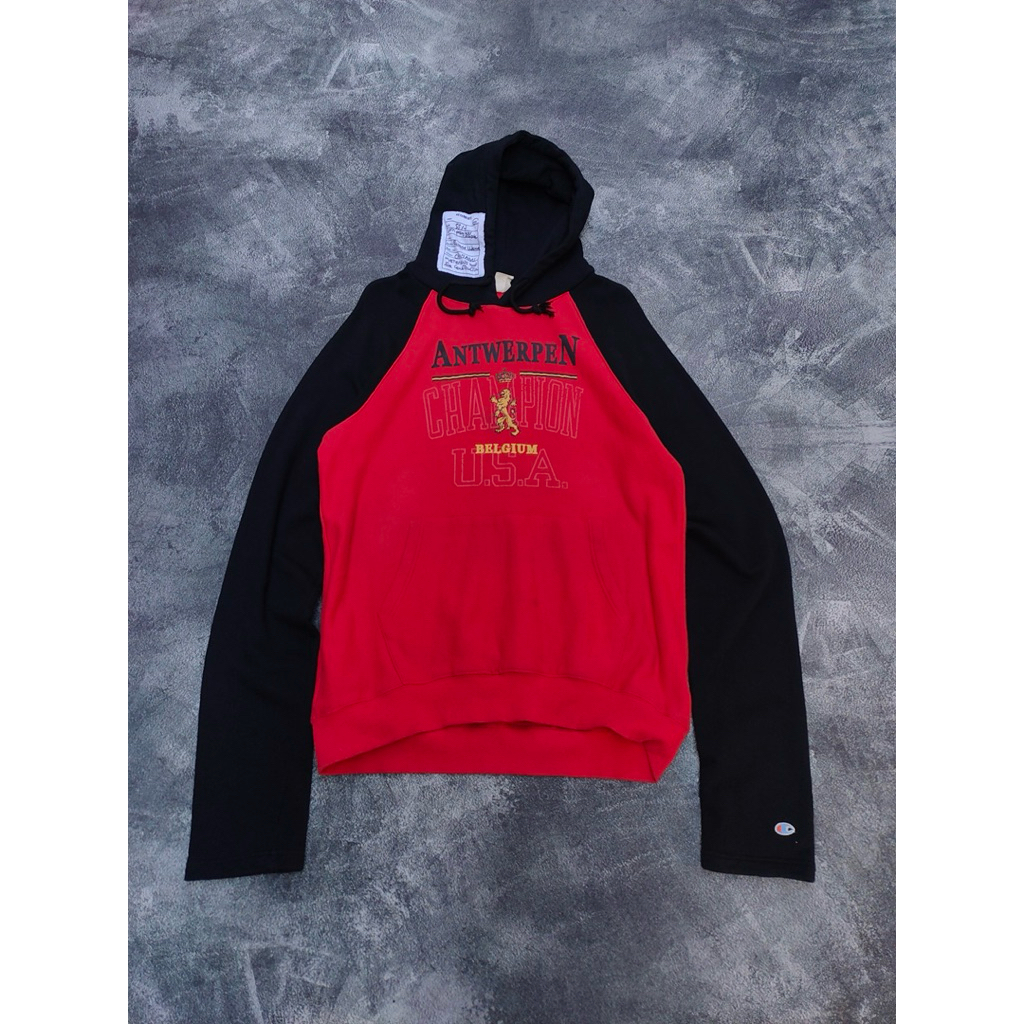 champion x vetements hoodie