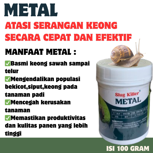 Methal Racun Keong Dan Siput Sawah, Bekicot Sangat Ampuh