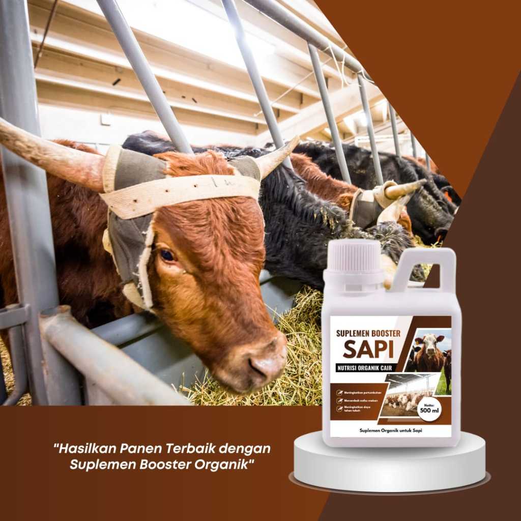 Nutrisi Organik Cair 500 ML Booster Sapi Penggemuk Optimal