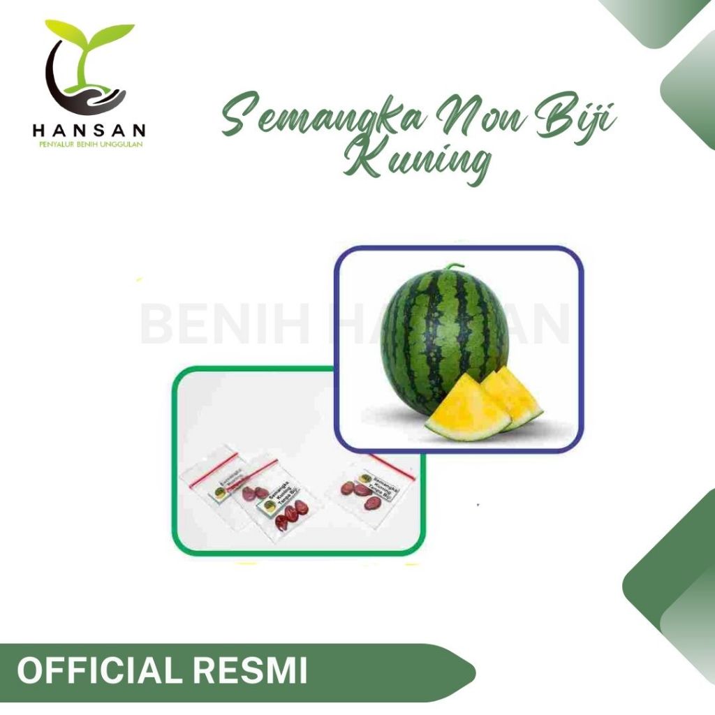 Benih Semangka Non Biji Kuning F1 Hibrida Bibit Buah Semangka Besar