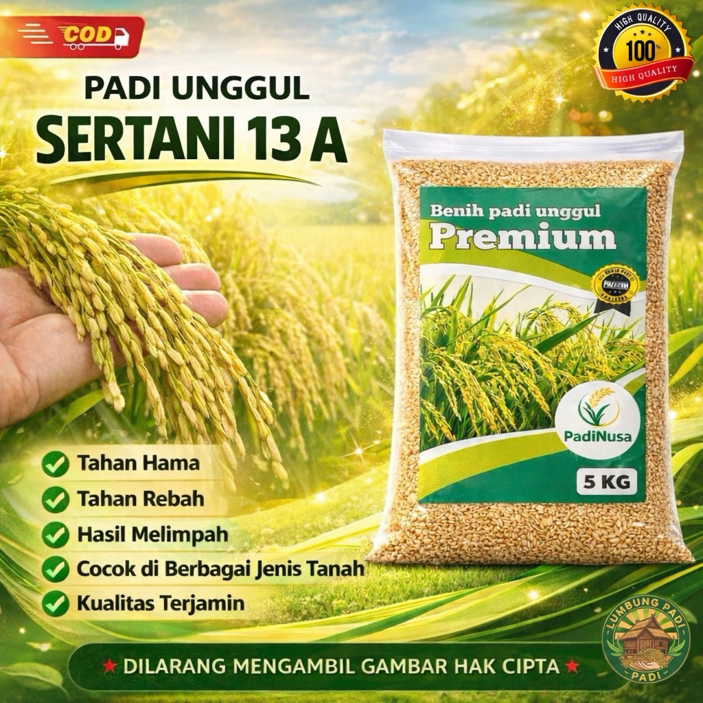 Benih padi SERTANI 13 A bibit padi premium 1-5 KG benih padi unggul berkualitas