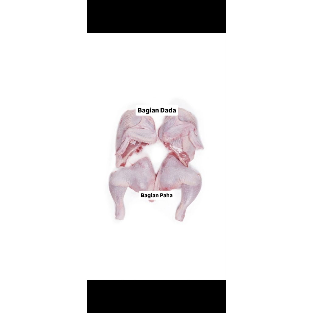 Ayam Eropa/Broiler Potong (Daging Segar)