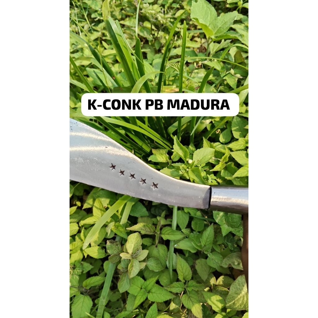 arit/sabit rumput alat tani tradisional asli baja madura