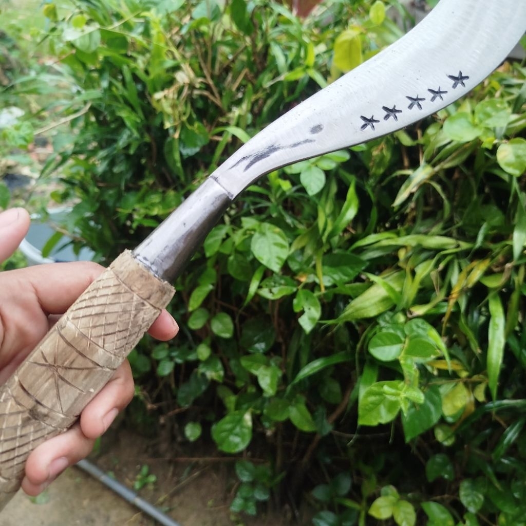 Alat Tani @arit rumput @sabit padi Baja Pir asli madura Gagang Ukir Spesial