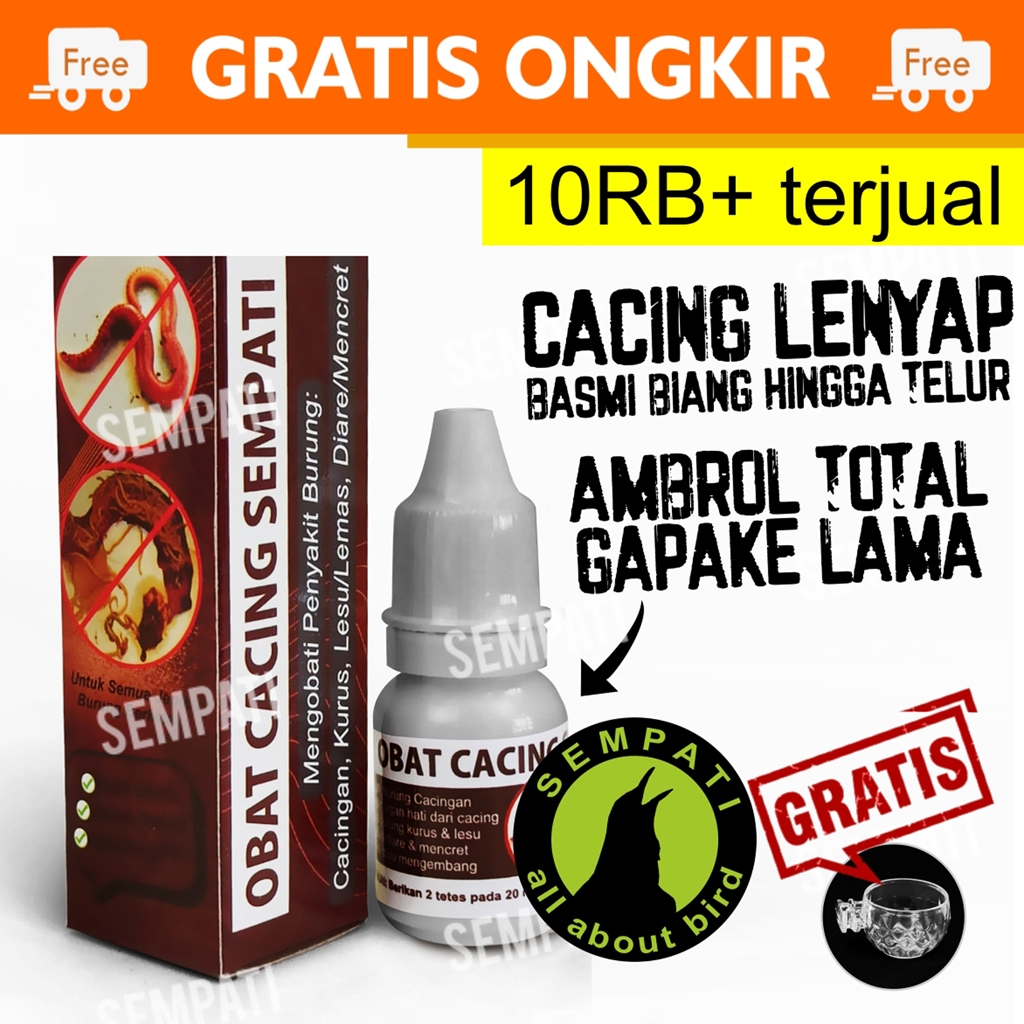 SEMPATI OBAT CACING SEMPATI MENGOBATI BURUNG SAKIT CACING KURUS LESU UNTUK MURAI KACER LOVEBIRD ANIS