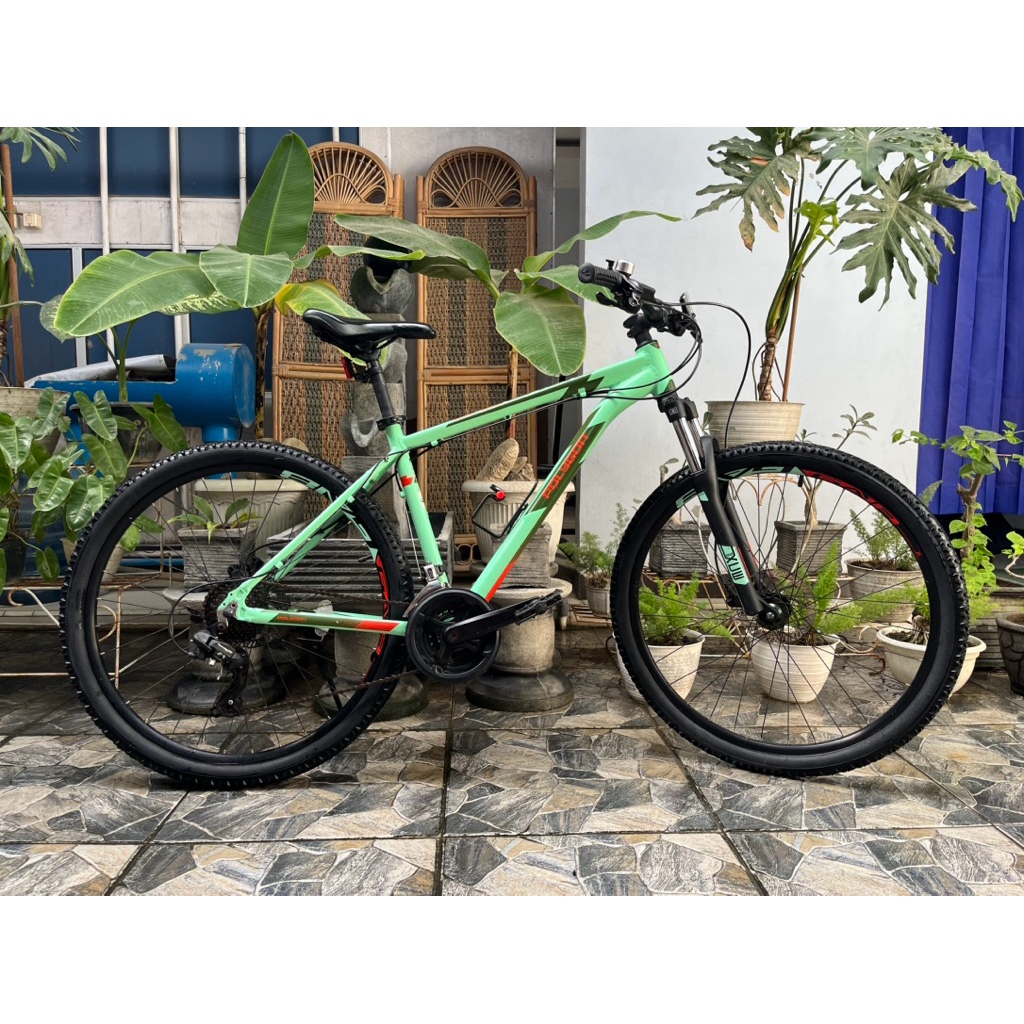 POLYGON CASCADE 4 2021