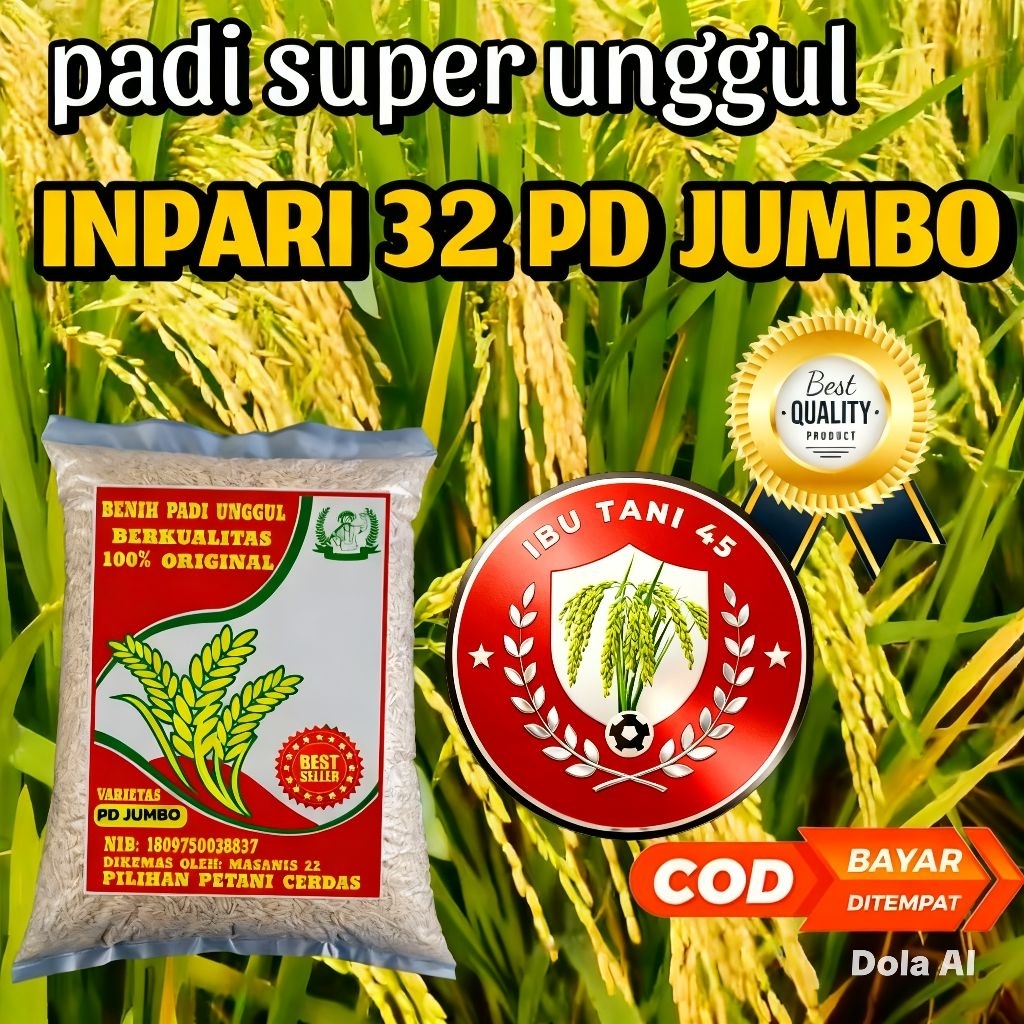 BENIH PADI INPARI 32 PD JUMBO ORIGINAL HARGA TERJANGKAU DAN BERKUALITAS KEMASAN 1KG