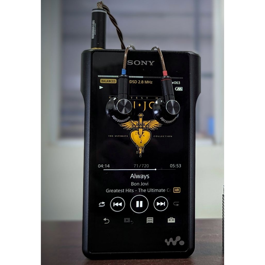 SONY WALKMAN WM1A