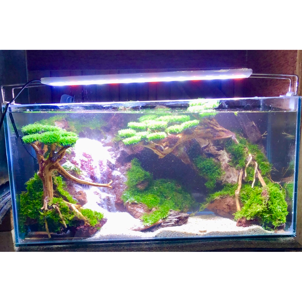 aquascape murah tema waterpall bonsai size 50x30x30 cm fullset tinggal isi air aj siap pandang
