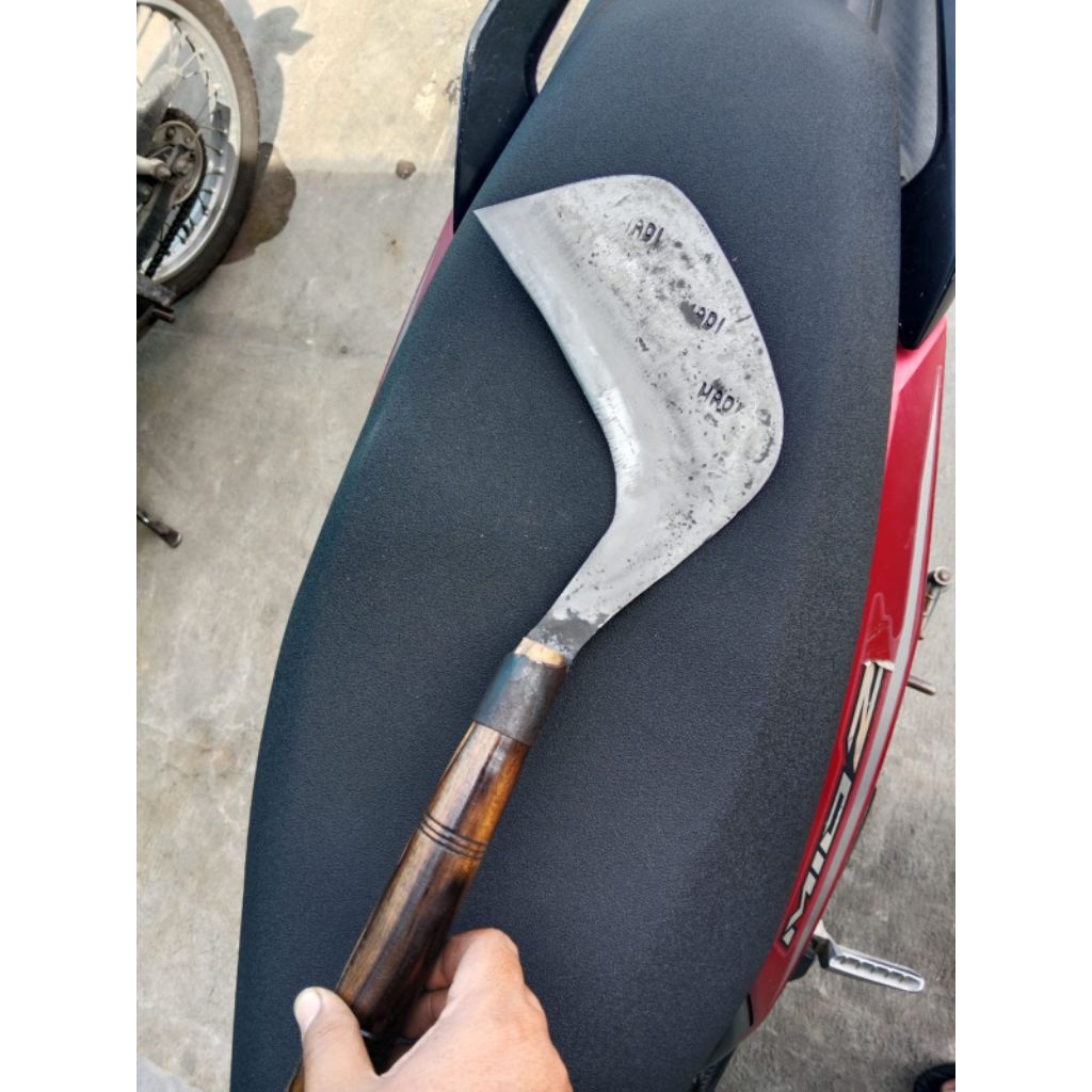 Parang Congkrang Sawah Tradisional Baja Asli - Sabit Pembersih Rumput & Ranting Multifungsi