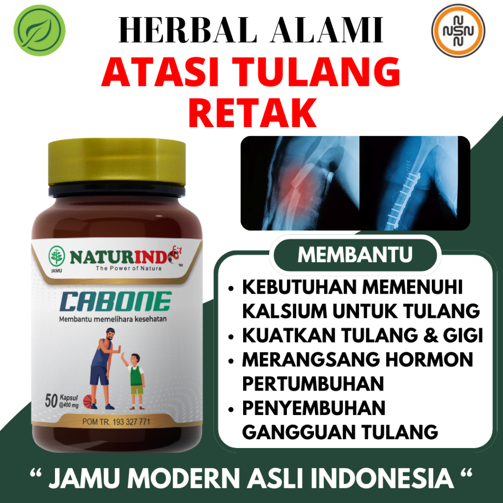 Obat Herbal Patah Tulang Retak Penyambung Tulang Nutrisi Kalsium Tulang Naturindo