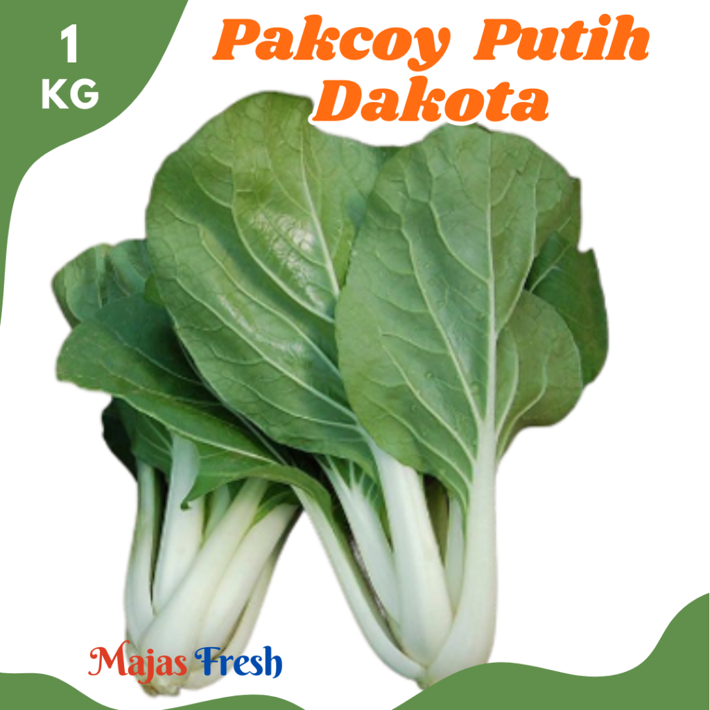 SAWI PAKCOY PUTIH Segar - Sayur Sawi Jepang / Sawi Dakota Batang Putih Lokal Fresh | 1.000gr [ Harga