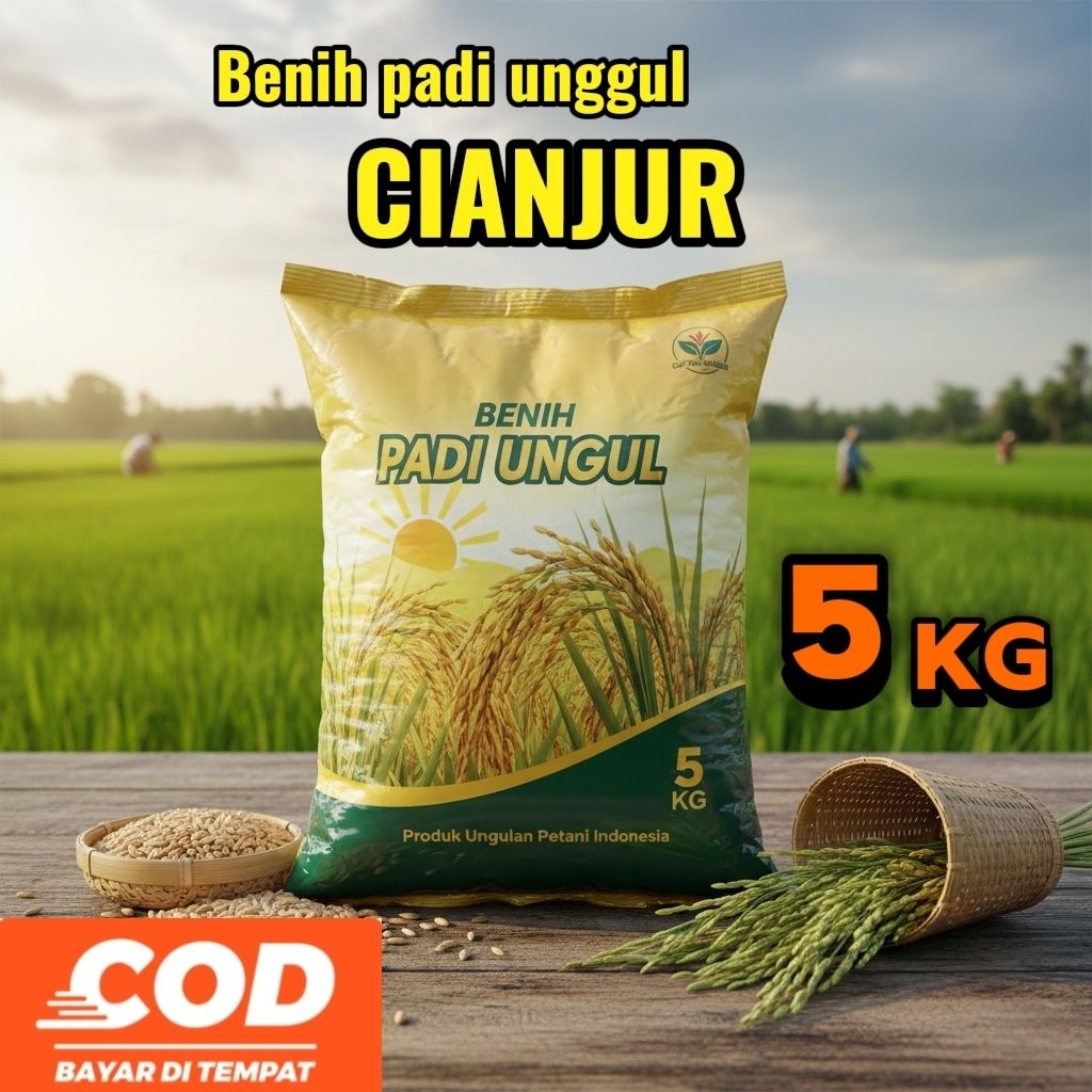 Benih padi CIANJUR kualitas premium kemasan 5Kg