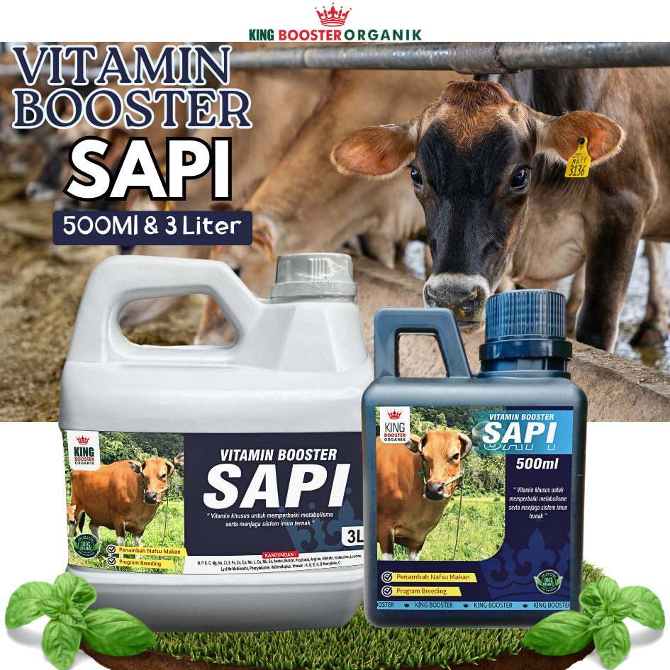 Vitamin Ternak Organik Khusus Sapi Penggemuk Sapi Mempercepat Pertumbuhan ,Imun Ternak Sapi 500ml