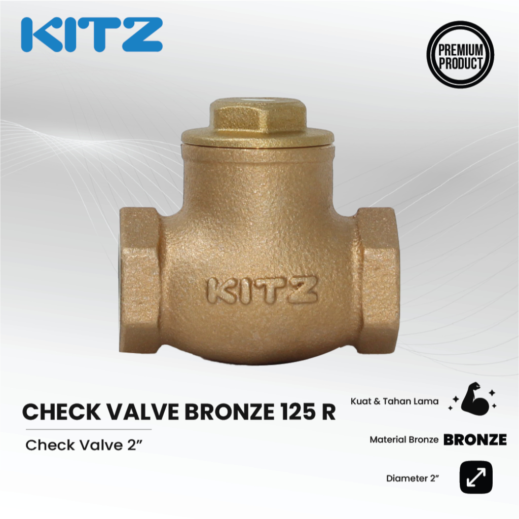 KITZ Check Valve 2 Inch Bronze 125 R