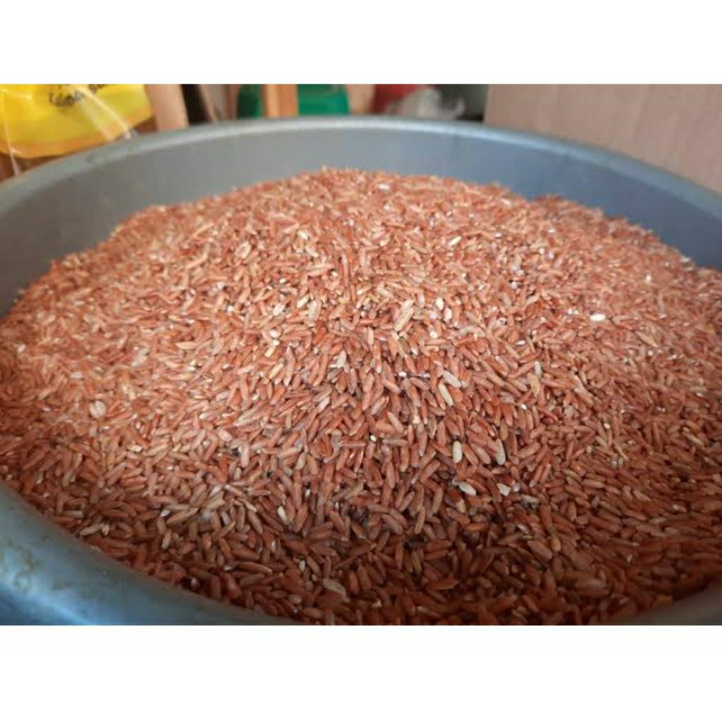 Beras merah pakan burung ayam