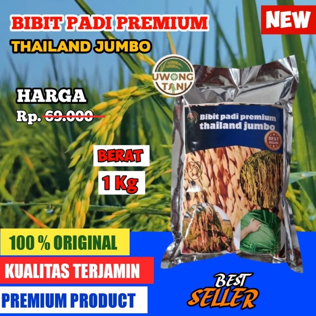 bibit padi unggul THAILAND JUMBO kemasan 1 kg
