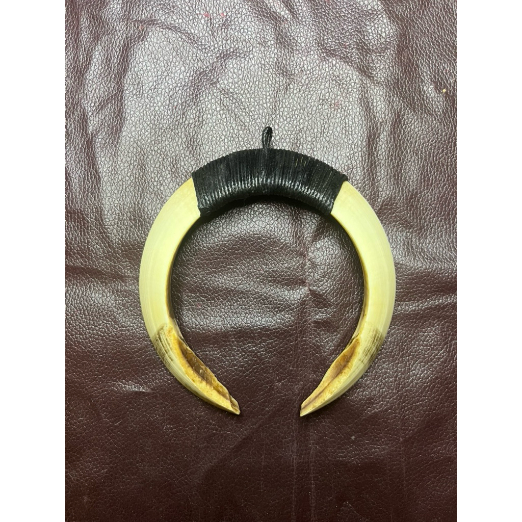 KALUNG ETNIK TARING BABI HUTAN 12cm