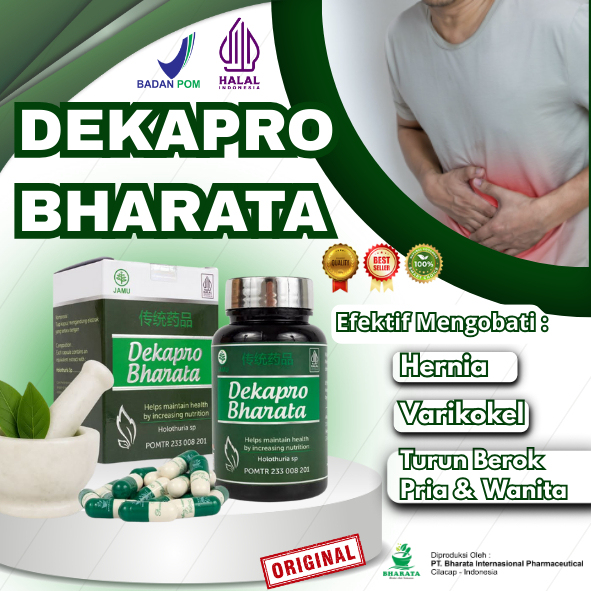 Obat Hernia Varikokel Turun Berok Pria Wanita Dekapro Bharata Asli 100% Original