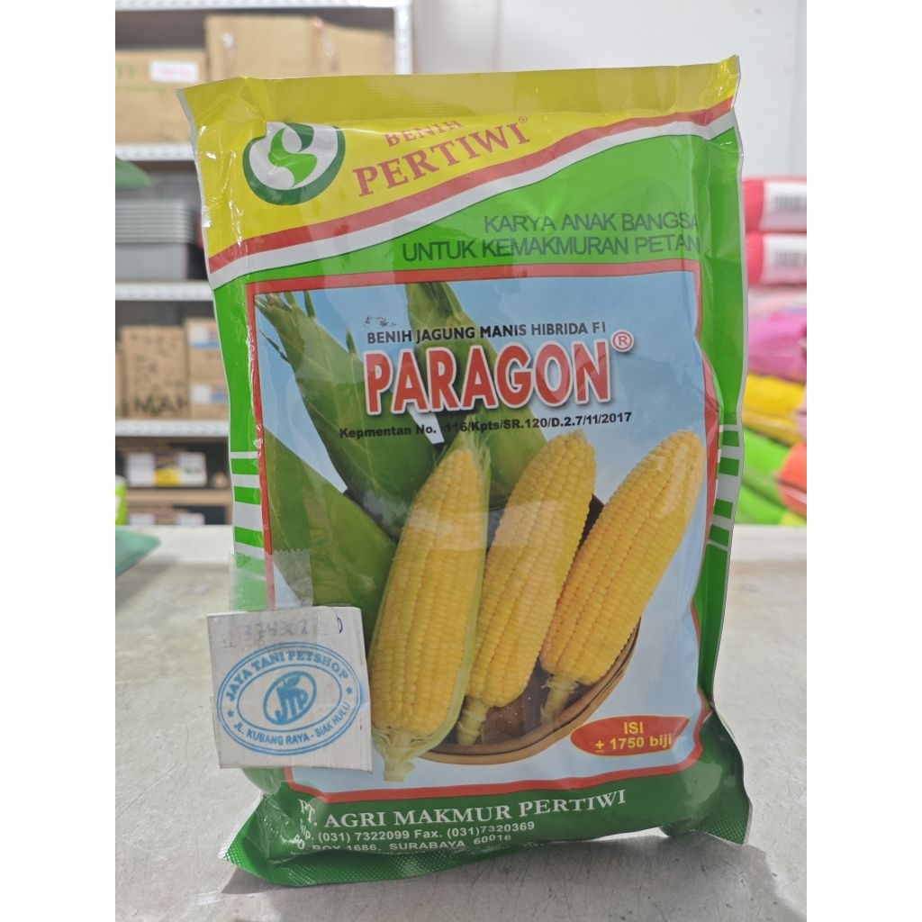 Benih jagung Paragon f1 benih Pertiwi