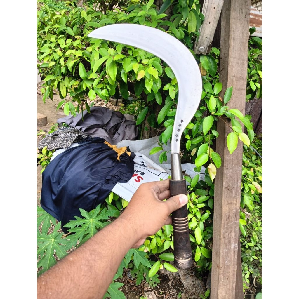 arit rumput bintang 5 madura