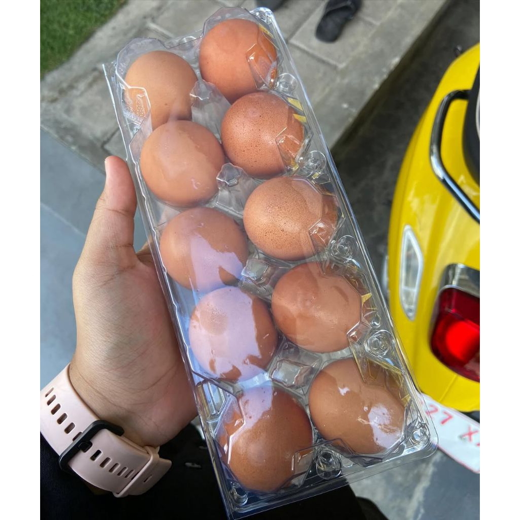 TELUR AYAM NEGERI 20 BUTIR | TELUR AYAM | TELUR AYAM NEGERI FRESH
