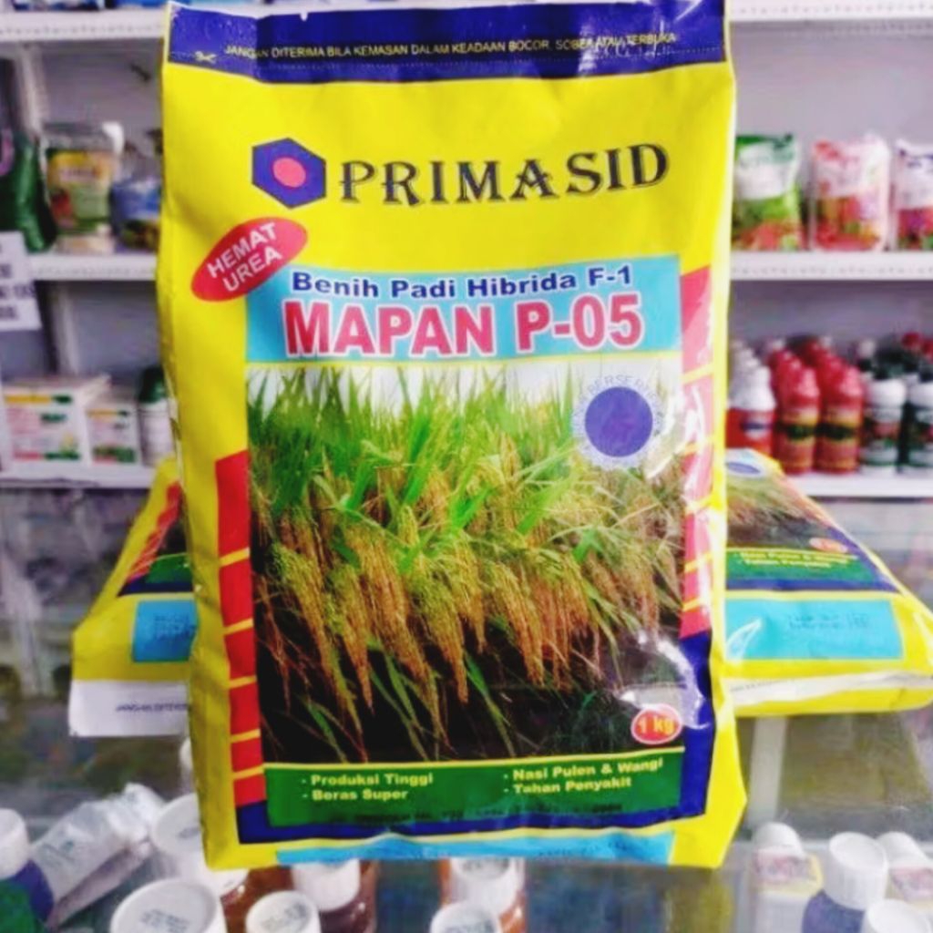 BIBIT PADI MAPAN P-05  (1 Kg) ORIGINAL PRODUK