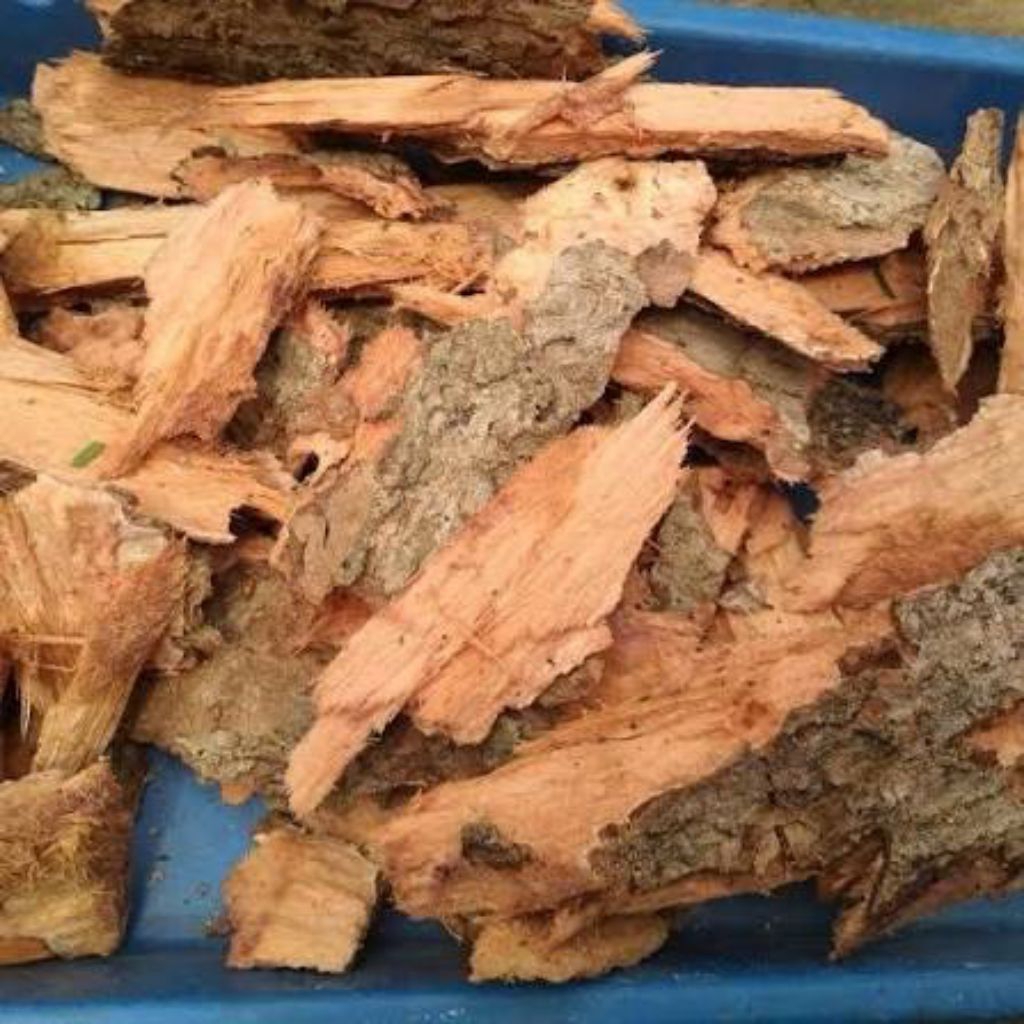 kulit jamblang / kulit juwet per 500 gram masih fresh