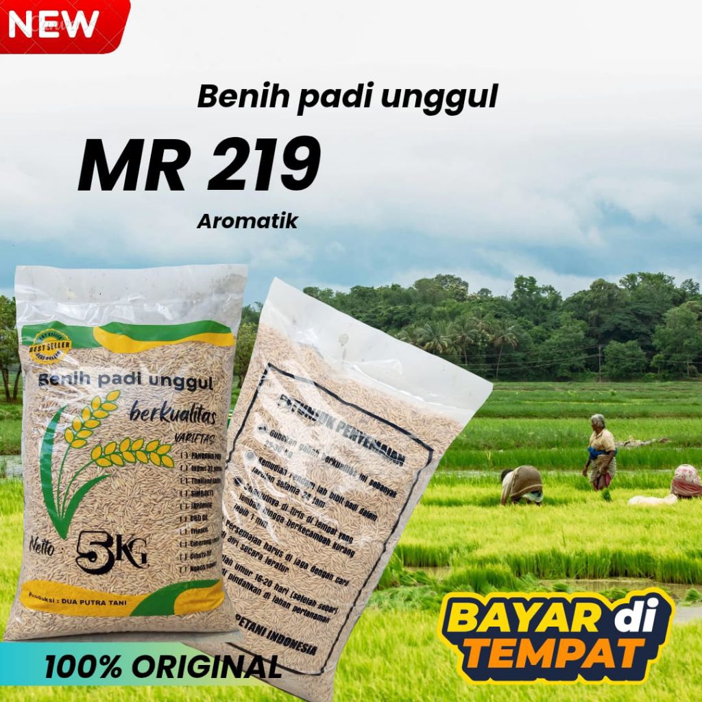 Benih Padi Bibit MR 219 KEMASAN 5KG PADI UNGGUL TAHAN HAMA