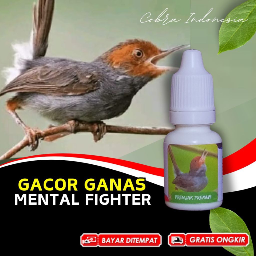 Vitamin Burung Prenjak Kepala Merah