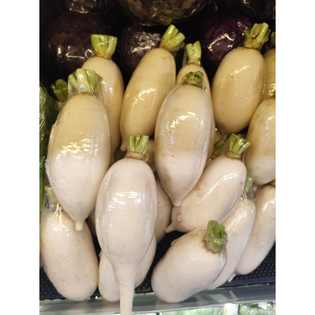 sayuran lobak putih import super fresh lobak white asli Korea 1 kg