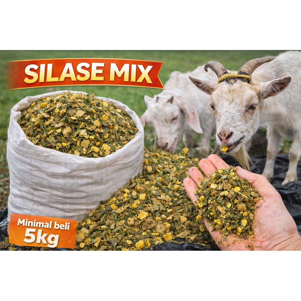 SILASE MIX PREMIUM – Pakan Fermentasi Alami untuk Kambing & Ternak