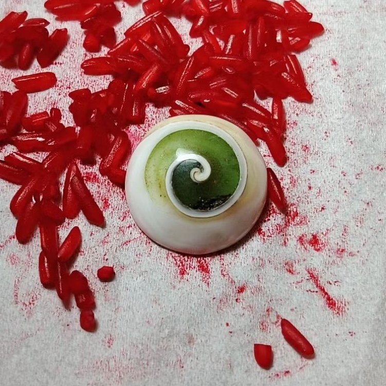 Batu cincin keong hijau fosfor air natural