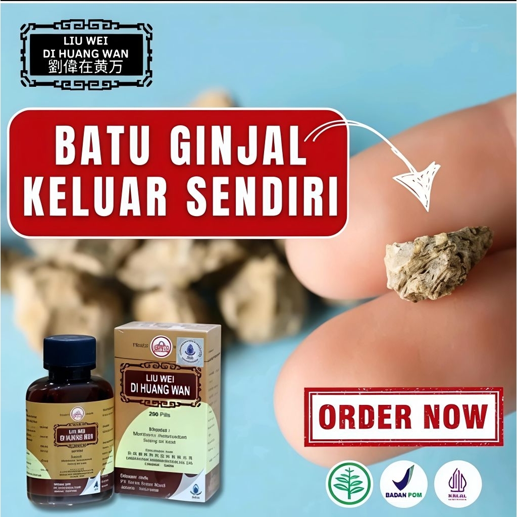 obat cina untuk ginjal liu wei di huang ori