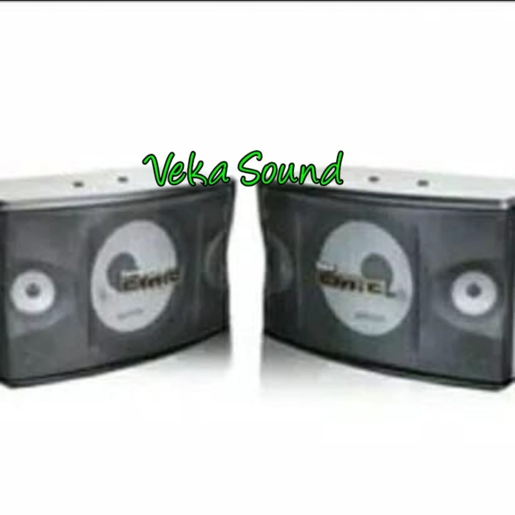 Speaker Pasif BMB CS-450R /CS459R / CS 450 R Speaker 10 Inch Original Sepasang 2 Unit