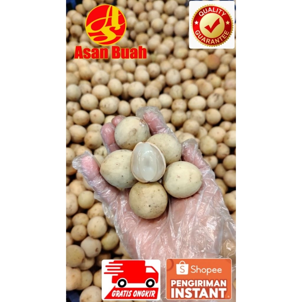 Buah Duku Manis Pontianak Kalimantan Palembang Komering kompring  Langsat Enak Besar Fresh