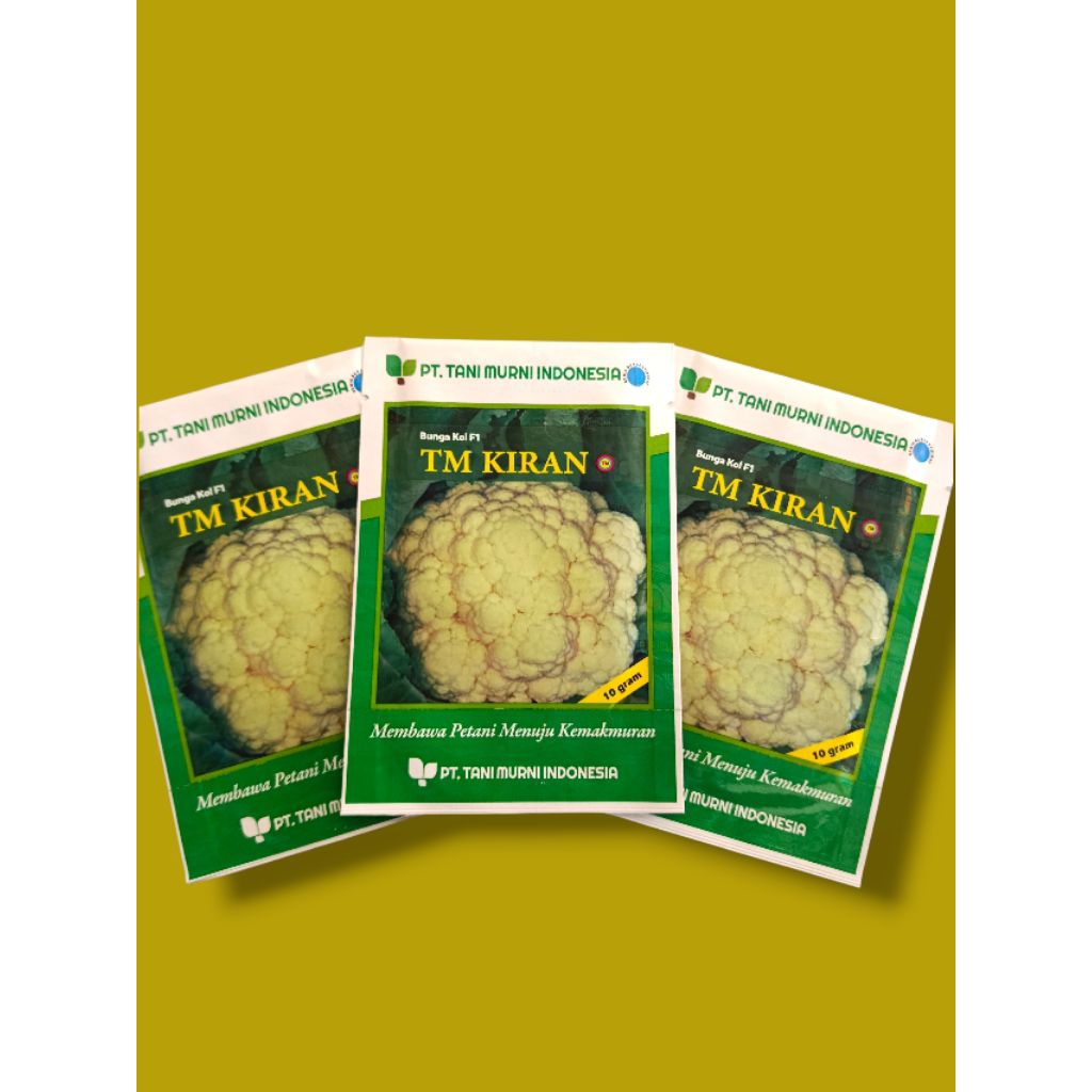Benih Bunga kol TM KIRAN || Bungkul kiran F1 (10gr)