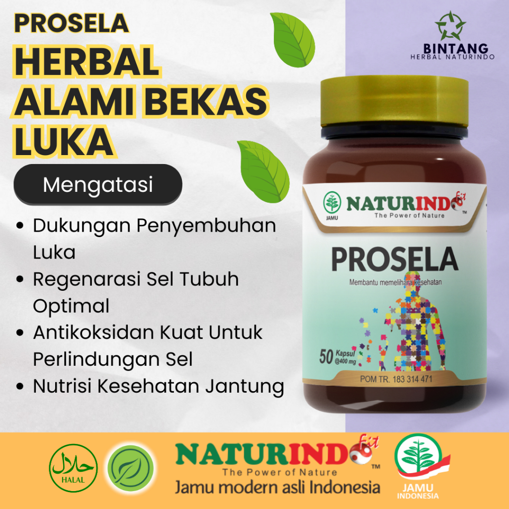 Herbal Alami Penghilang Bekas Luka Hitam Koreng Regenerasi Sel Tubuh Luka Bakar Porsela Naturindo Fi