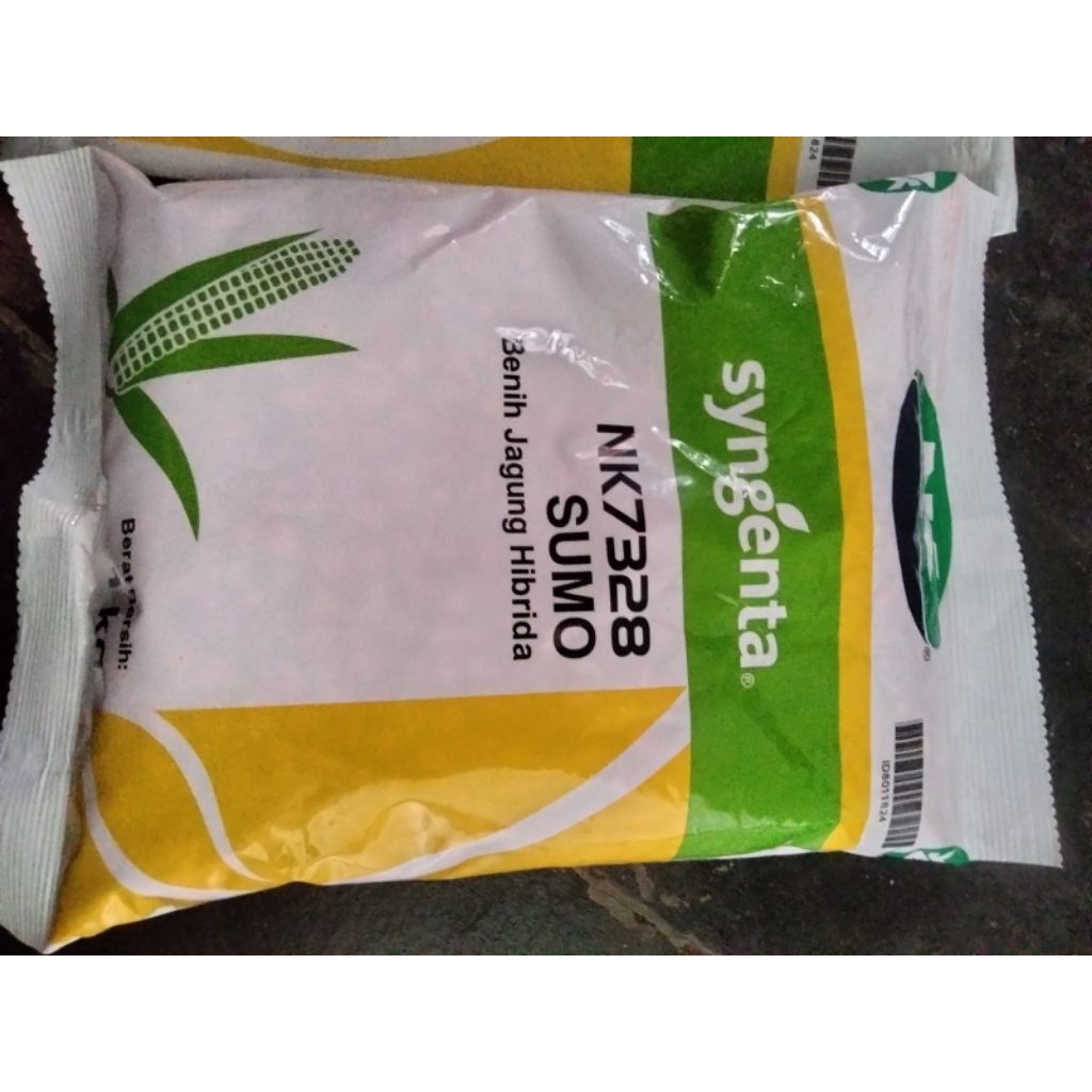 benih jagung NK sumo