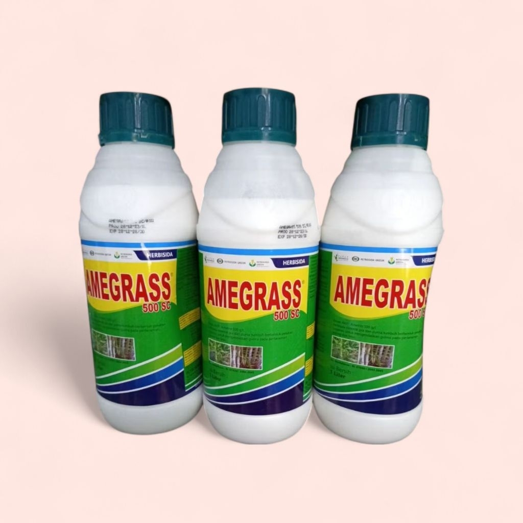 Herbisida sistematik Amegras 500sc 1liter