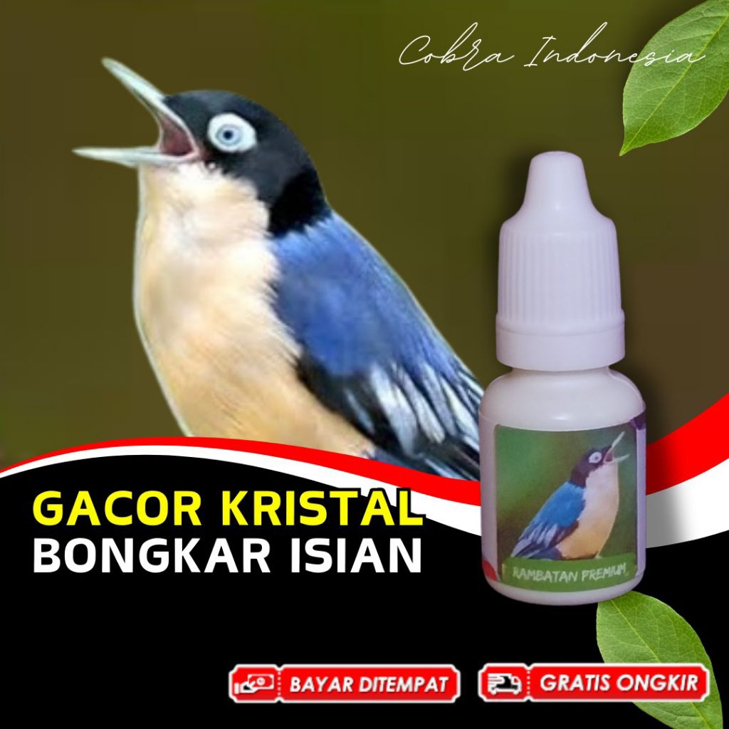 Vitamin Burung Rambatan Doraemon