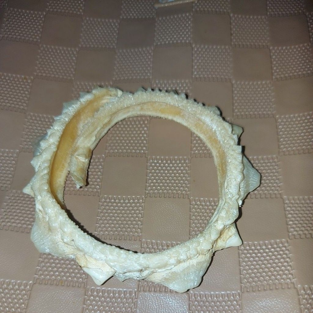 gelang mustika ikan pari