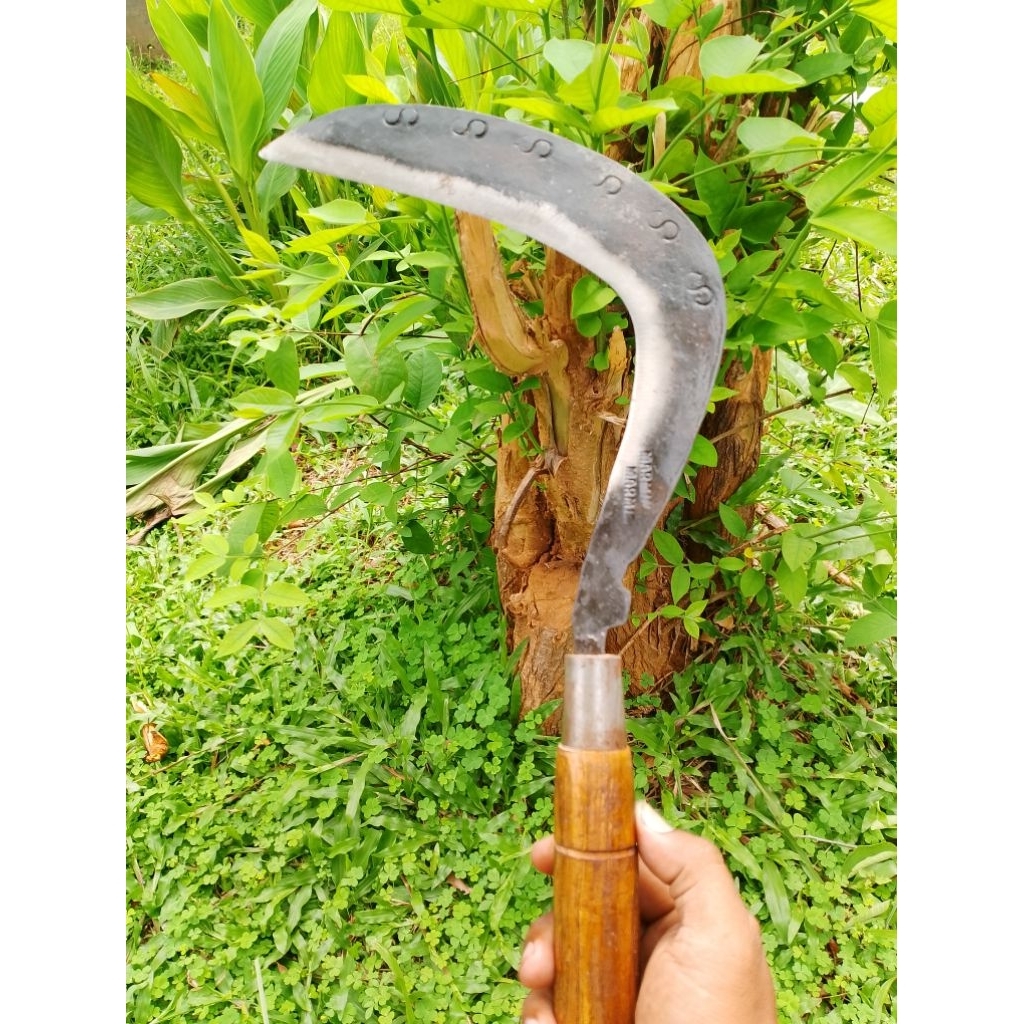 Sabit rumput bahan baja per sepuhan tebal tajam untuk potong rumput dan rambanan ranting