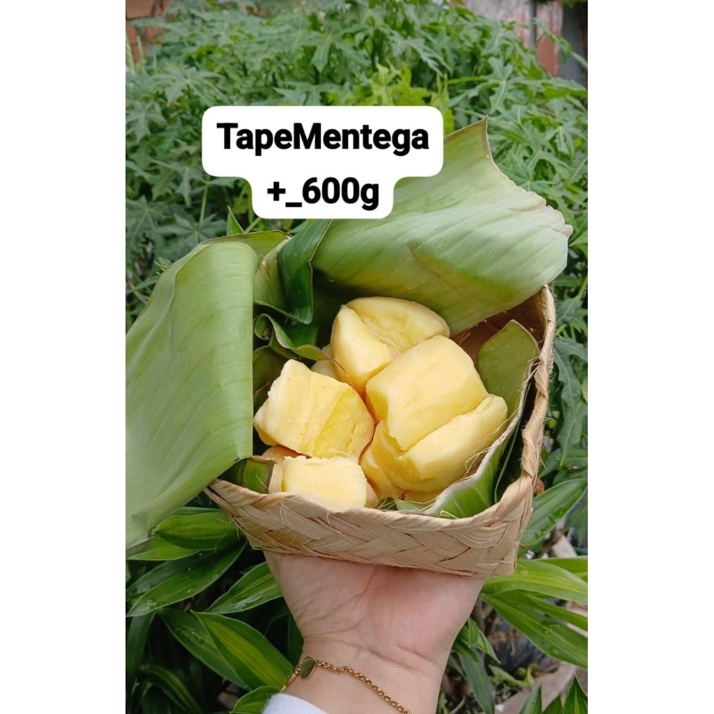 Tape singkong free besek