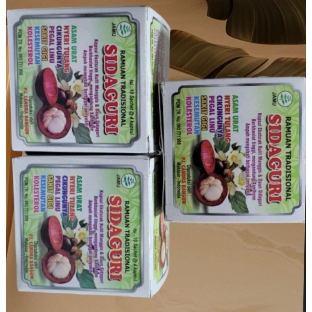 kapsul sidaguri  original.