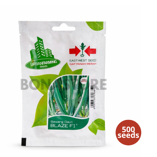BENIH PANAH MERAH - BAWANG DAUN BLAZE F1
