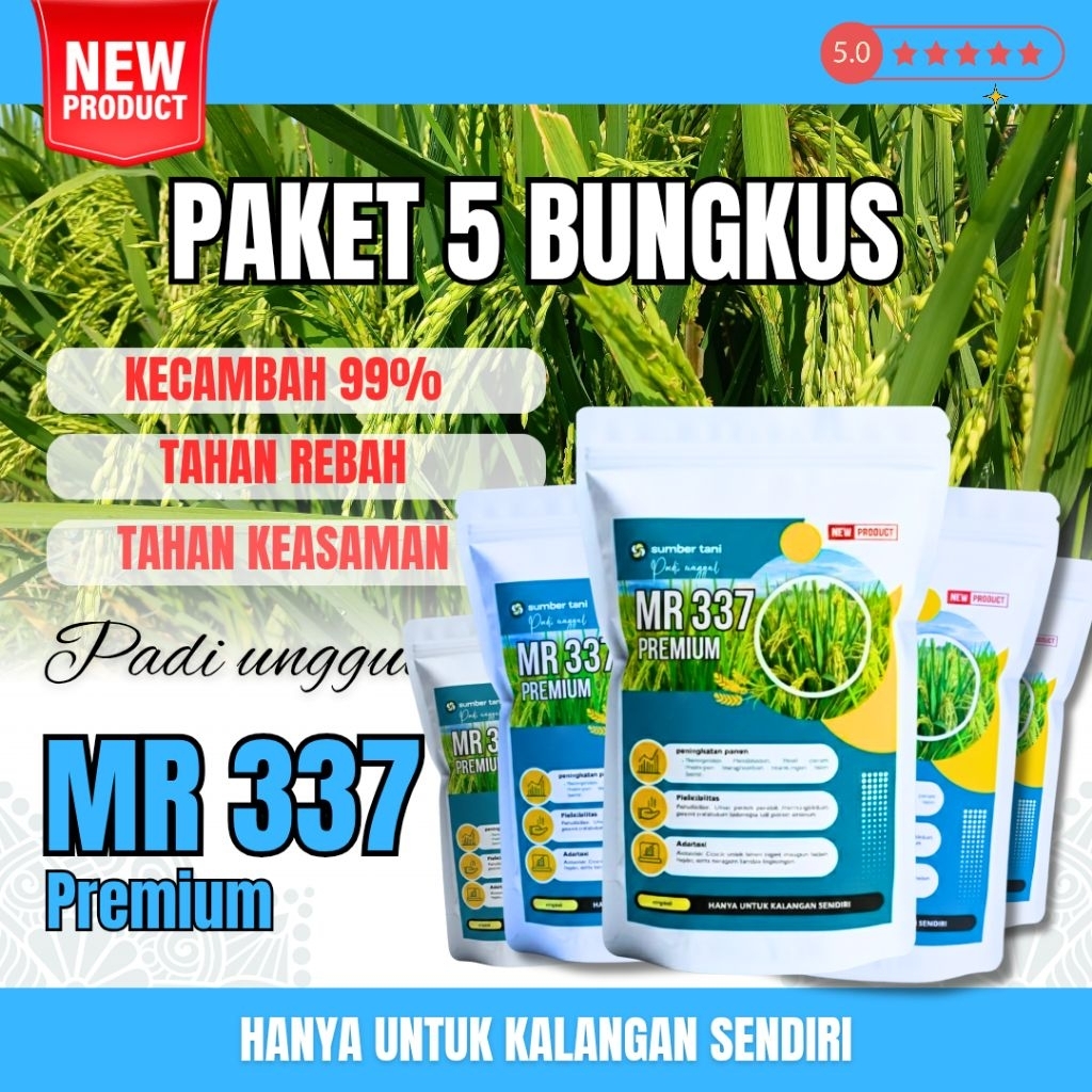 Benih padi unggul Mr 337 Asli 5kg ( BIBIT BENIH PADI UNGGUL MR 337 5KG )