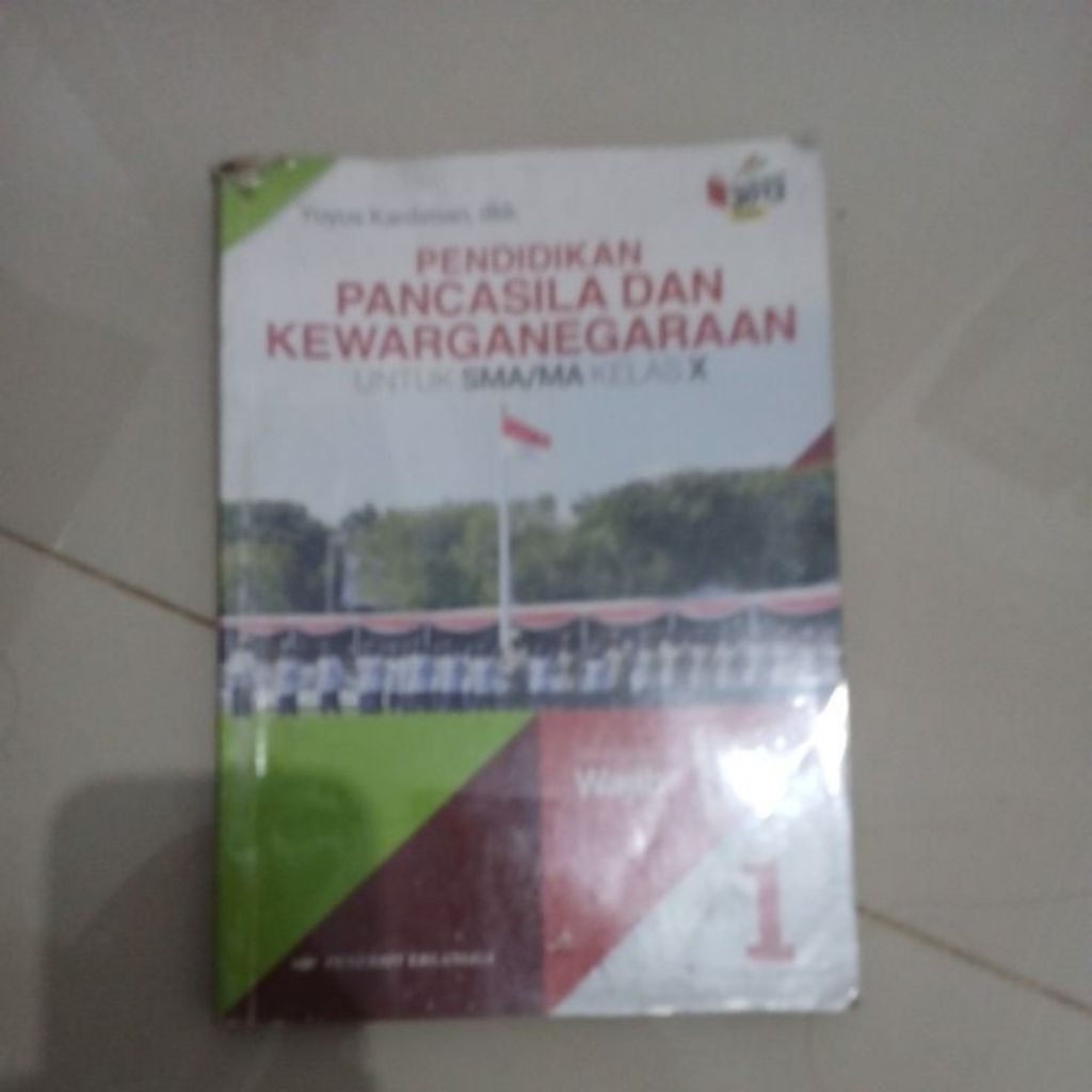 buku pkn kelas 10 sma